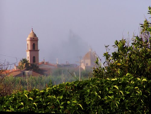 Chiesa di S. Andrea
